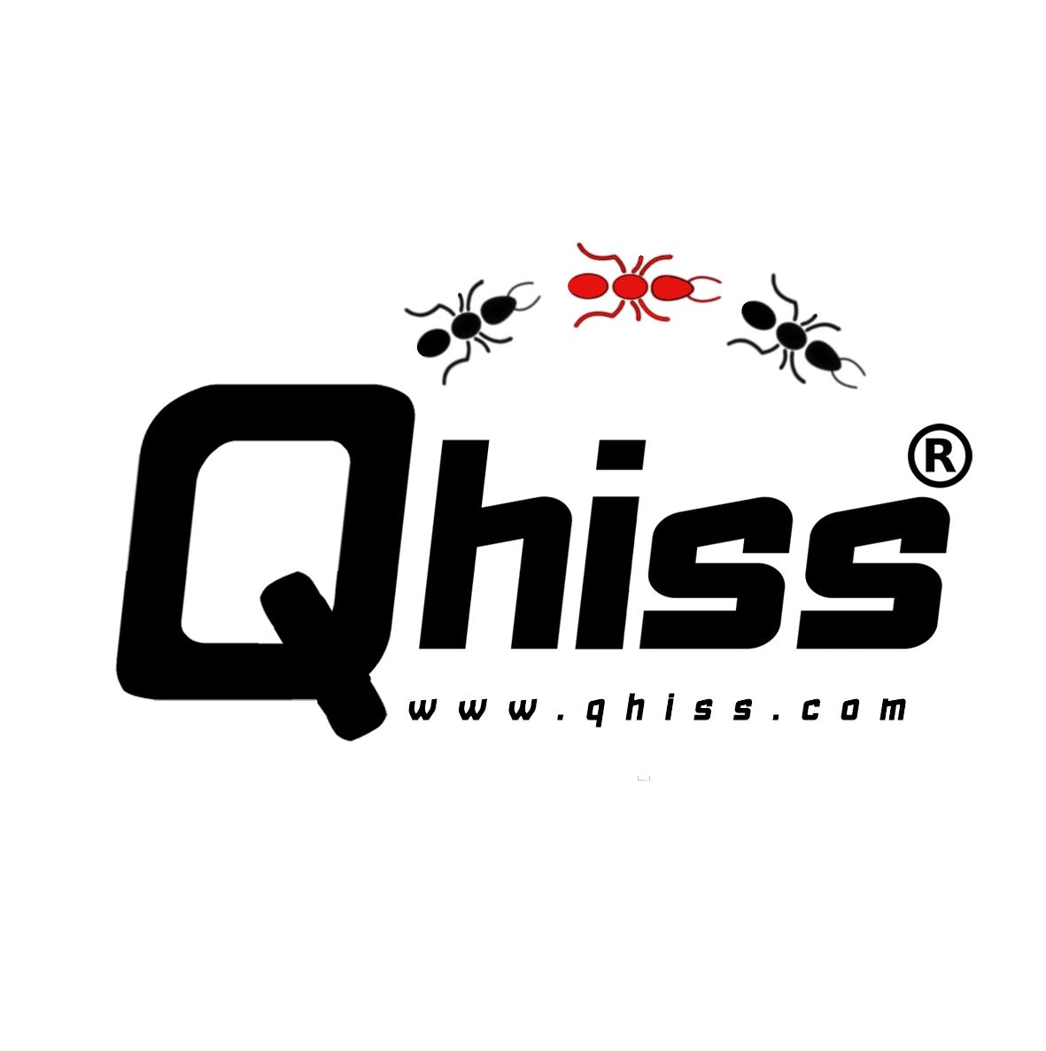 Qhiss
